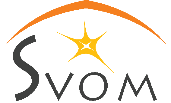 Third SVOM Scientific Workshop : Disentangling the merging universe with SVOM
