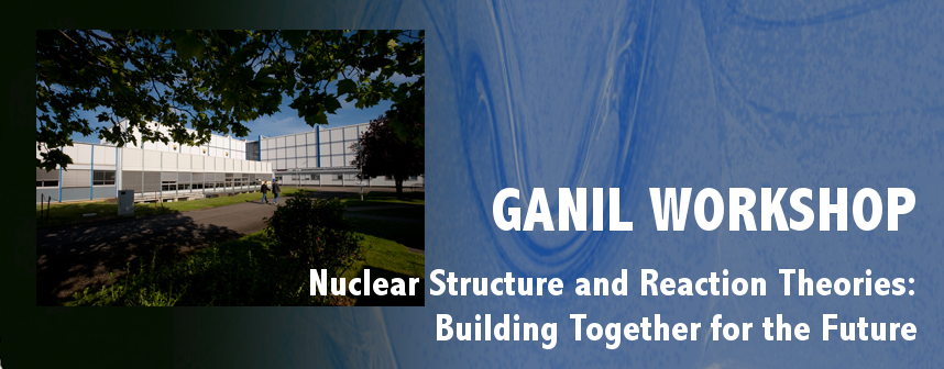 Nuclear Structure and Reactions: Building Together for the Future