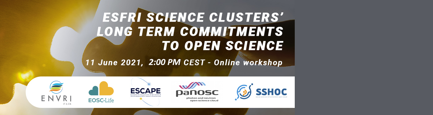 ESFRI Science Clusters' Long Term Commitments to Open Science