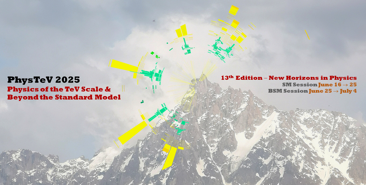 Physics at TeV Colliders and Beyond the Standard Model 2025