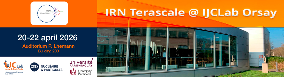 IRN Terascale @ IJCLab Orsay
