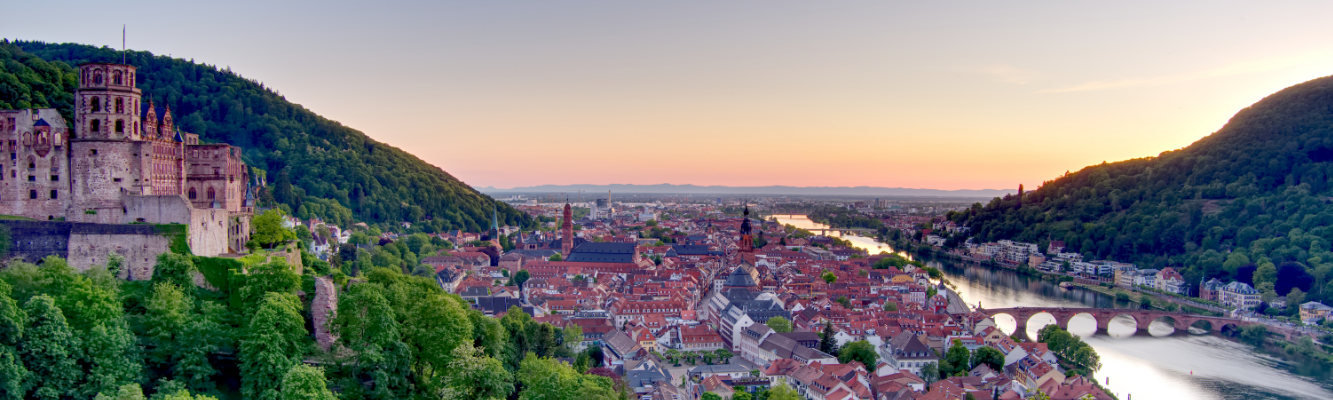Aerial image of Heidelberg